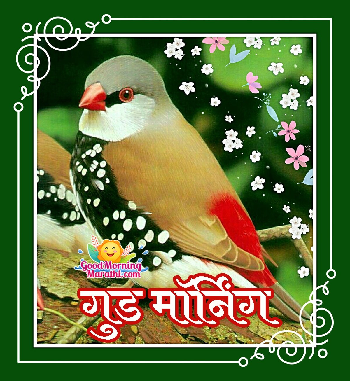 Good Morning Marathi Birds Images