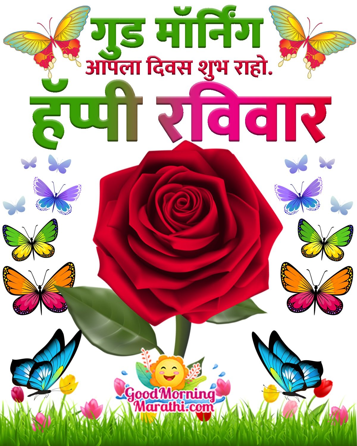 Good Morning Happy Ravivar Rose Image