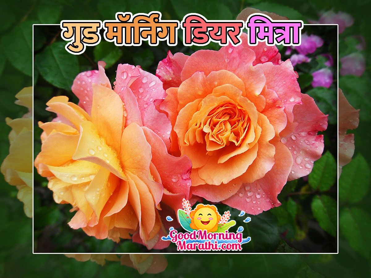 Good Morning Dear Mitra