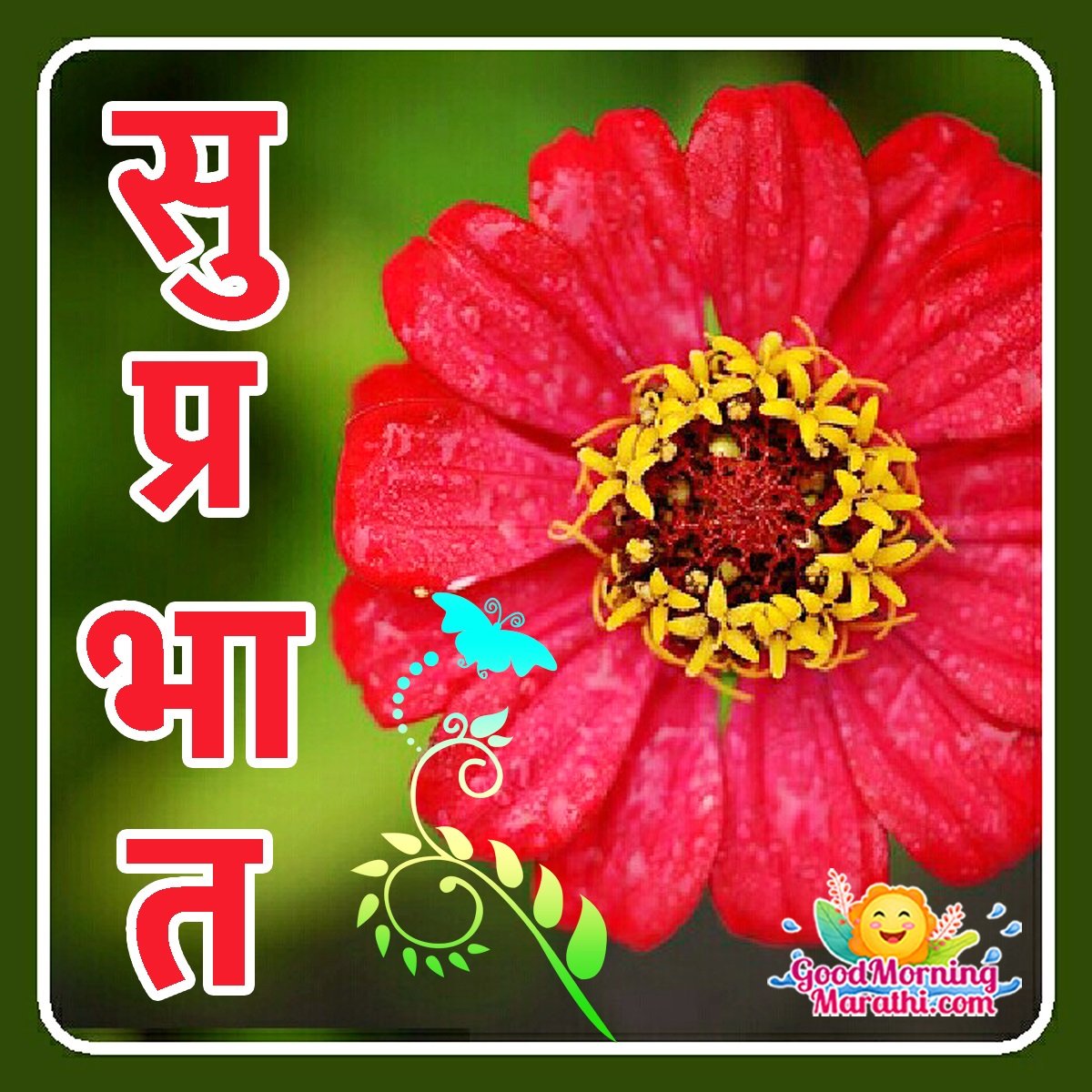 Suprabhat Flower