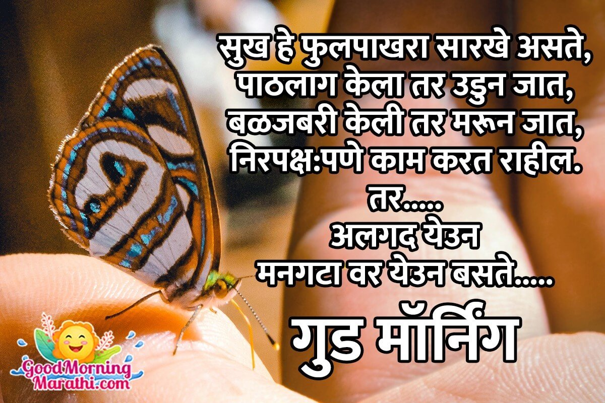 Good Morning Butterfly Marathi Image