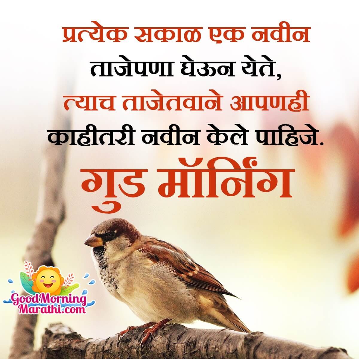 Beautiful Heart Touching Morning Quotes In Marathi - Good Morning ...