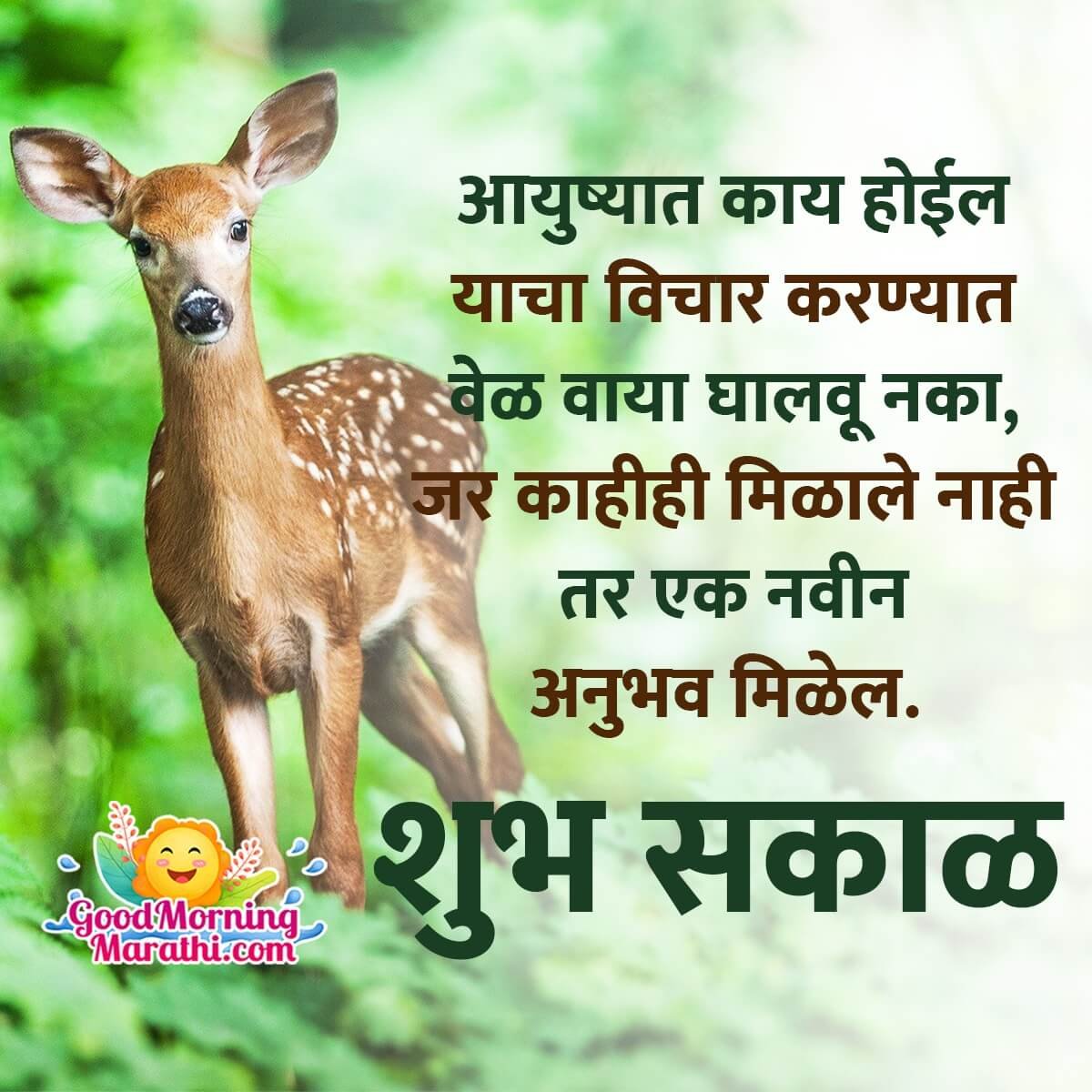 Shubh Sakal Inspiration In Marathi