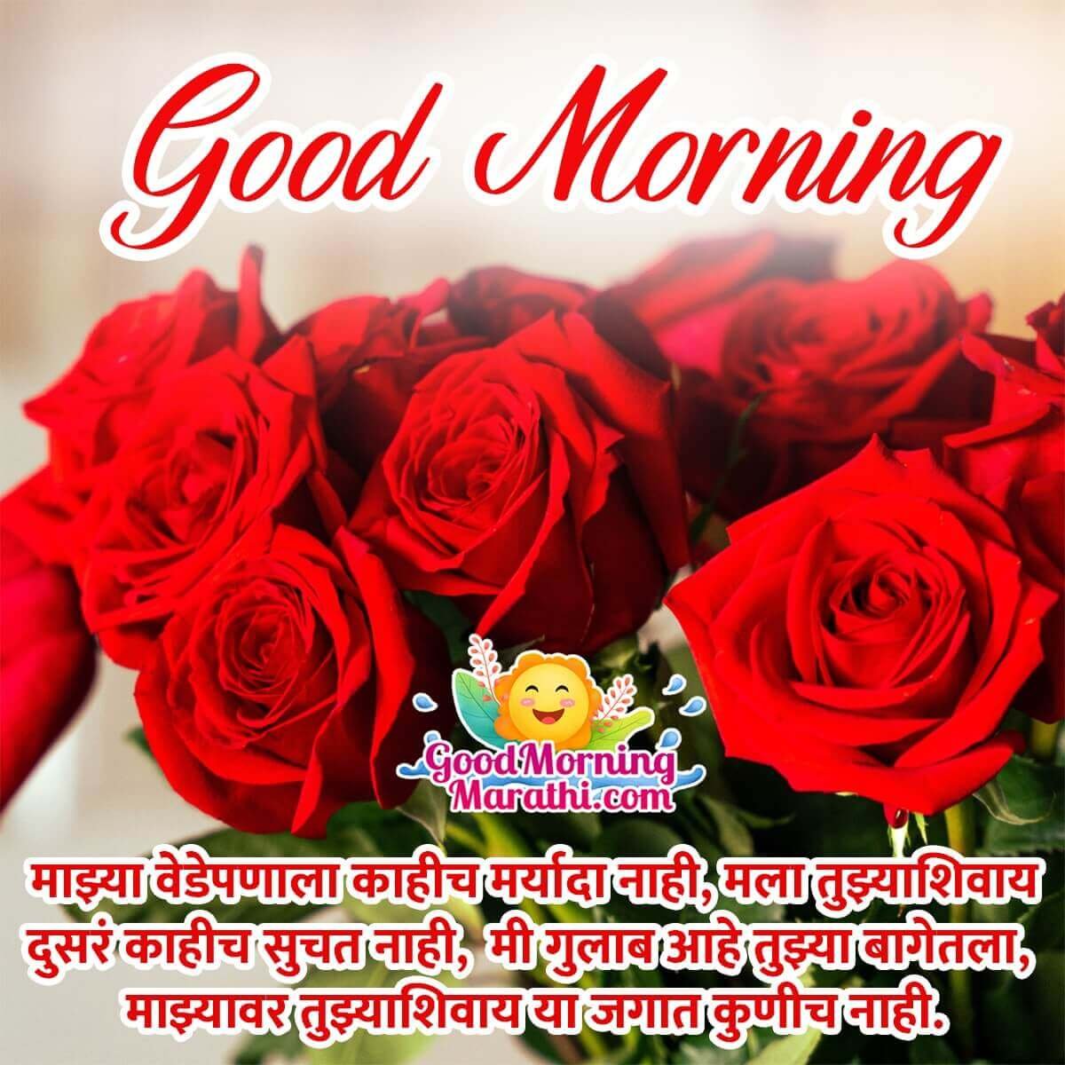 Best Good Morning Rose Shayari Image For Gf