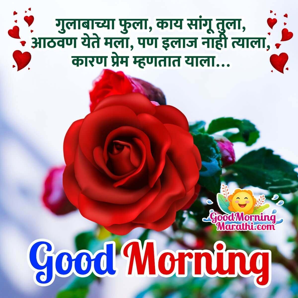 Good Morning Rose Shayari Image In Marathi For Gf