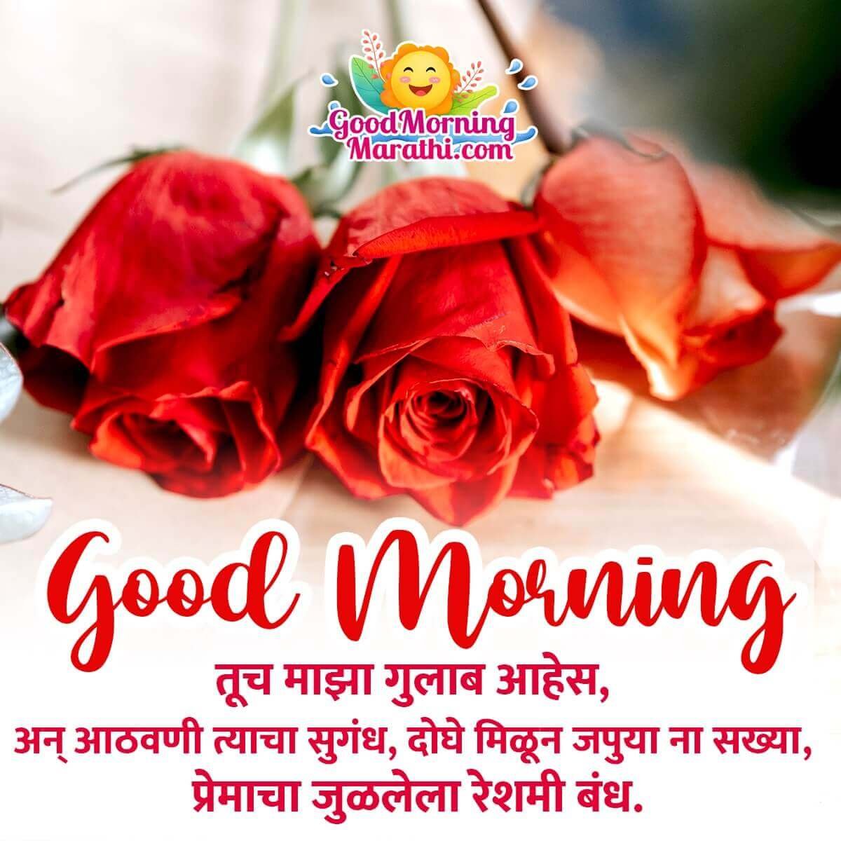 Good Morning Rose Shayari Photo For Bf