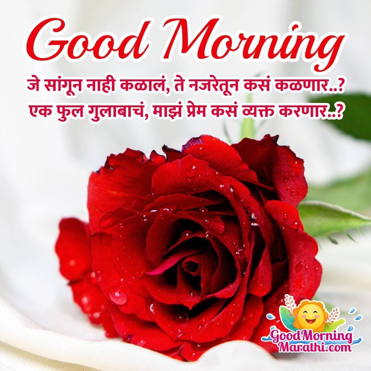 Good Morning Rose Shayari Pic For Lover