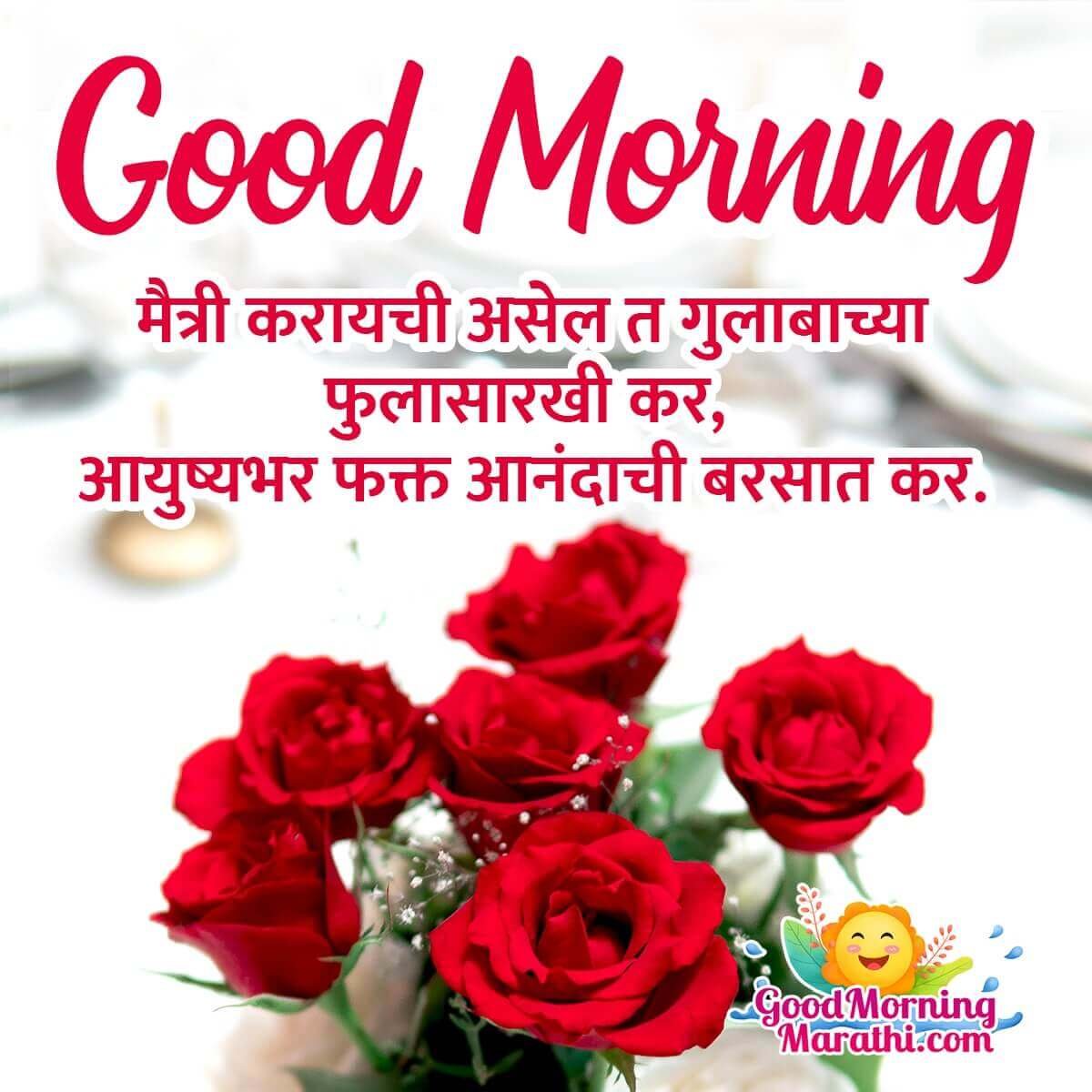 Good Morning Rose Shayari Picture For Lover